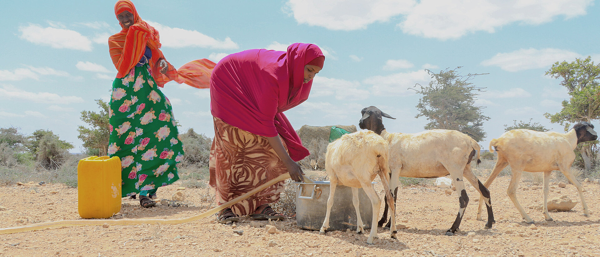 Dürre in Somalia Wasser während der Dürre in Somalia