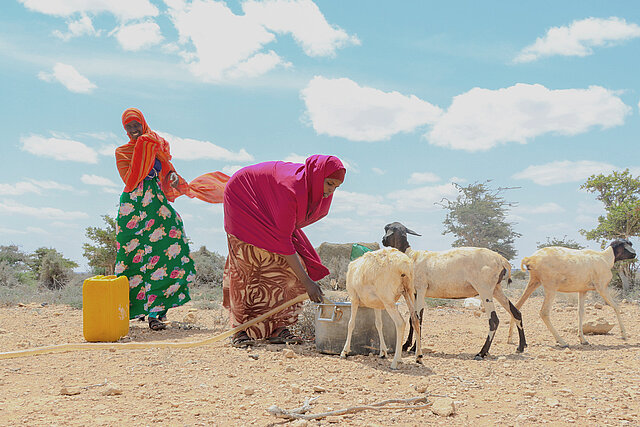Wasser während der Dürre in Somalia 