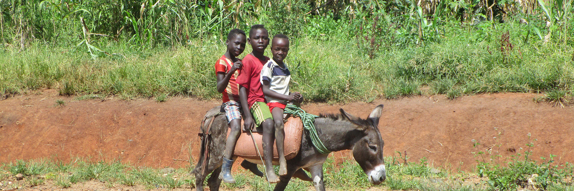 Drei äthiopische Kinder auf einem Esel