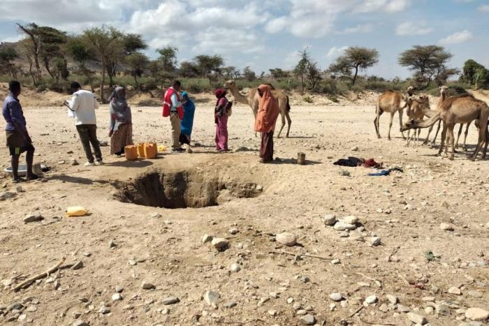 Langanhaltende Trockenheit in Ostafrika: DRK leistet Soforthilfe für von Dürre betroffene Menschen in Somaliland