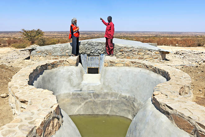 Foto: Zwei Rothalbmond-Helfende am Fuße eines Wasserreservoirs