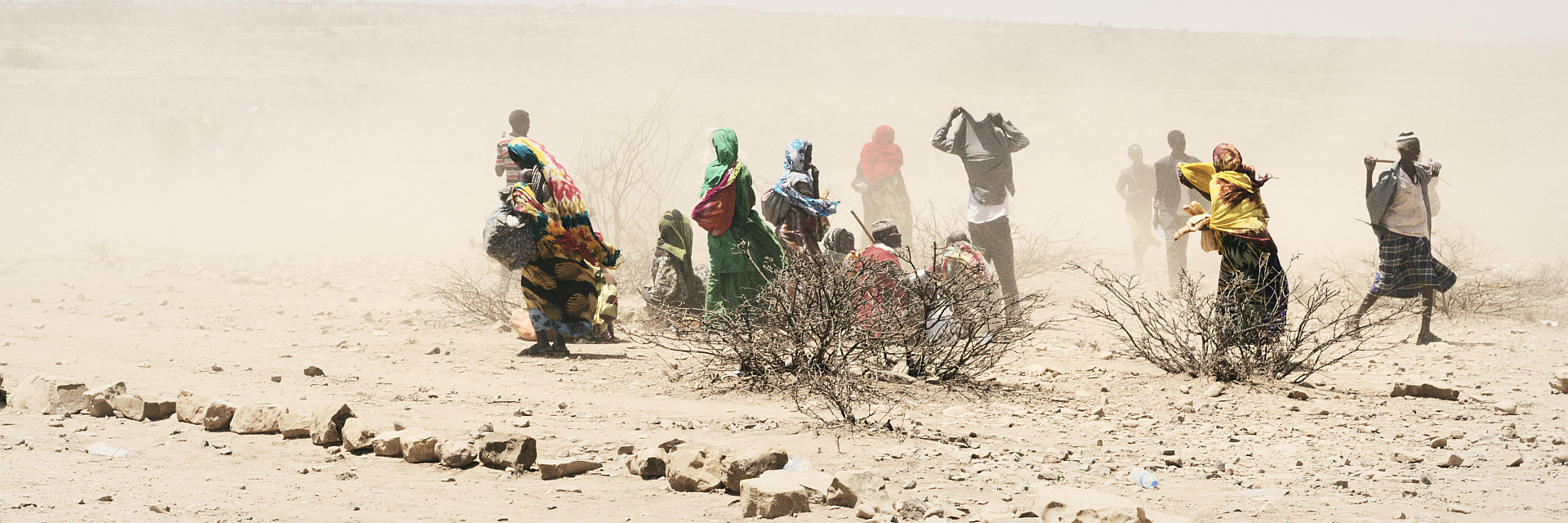 Somalier in verdorrter Landschaft