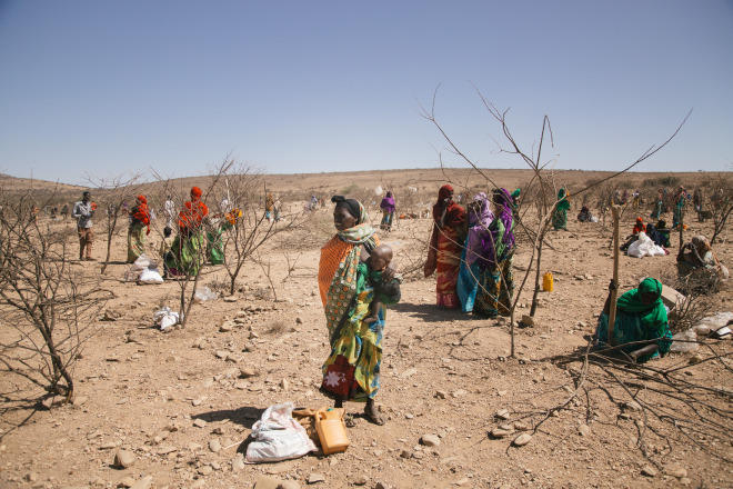 Somalier bauen Hütten nach langem Marsch
