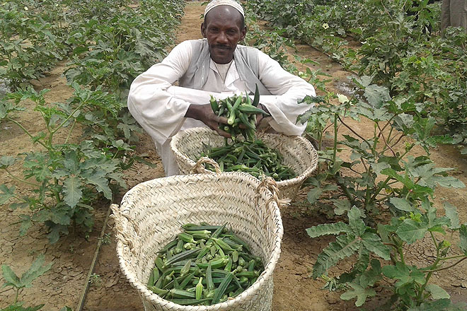 Ein Bauer mit einem Korb voller Ernte