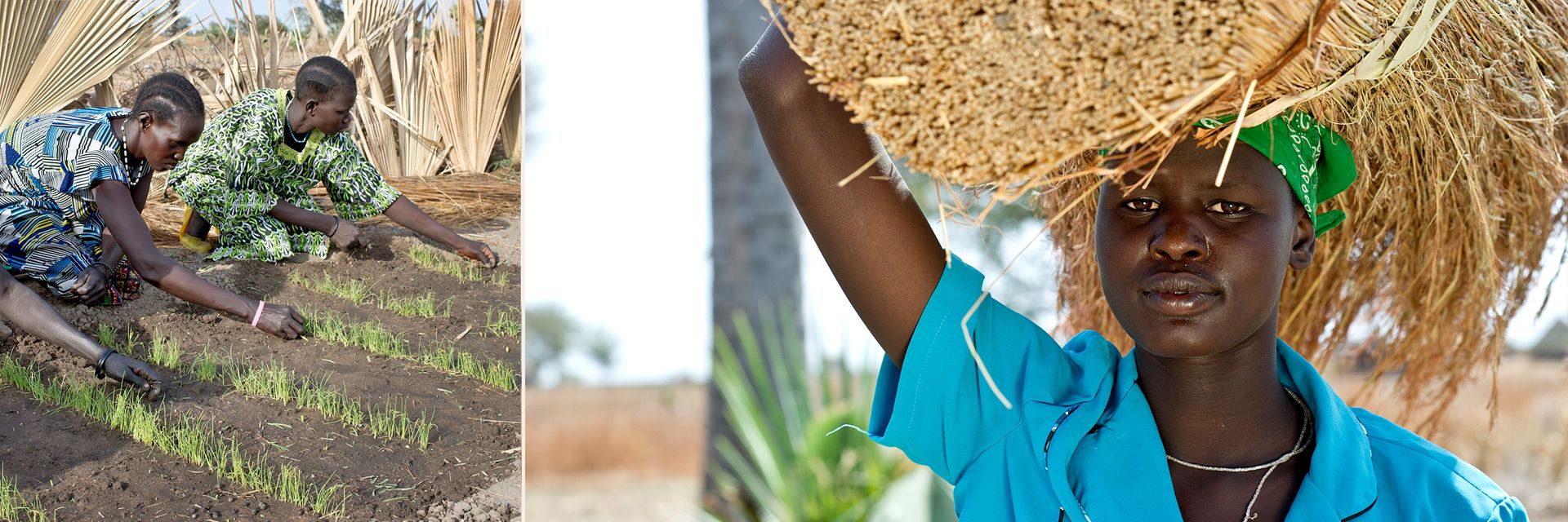 Collage: Frauen bei Gartenarbeit und Ernte im Südsudan