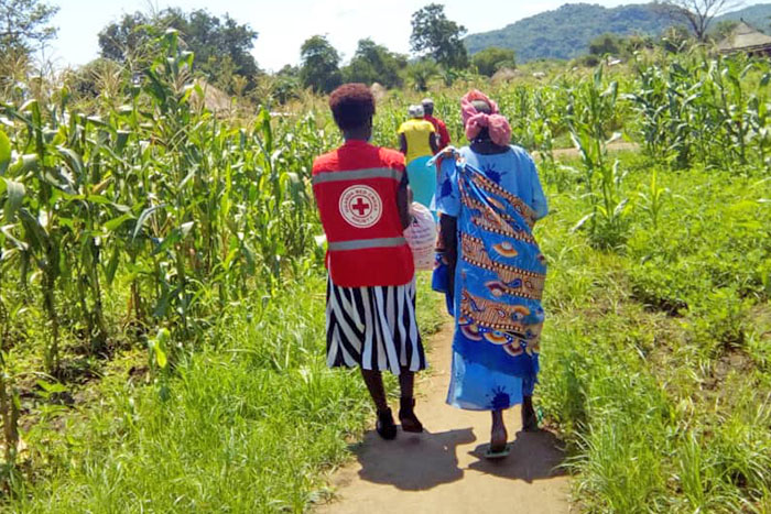 Rotes Kreuz verteilt Saatgut in Uganda 