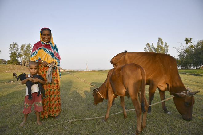 Foto: Eine Bangladeschin mit ihrem Kind und zwei Rindern auf einer Wiese