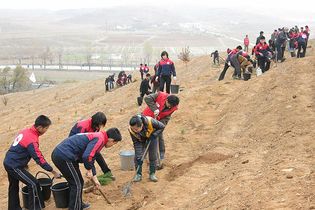 Das_DRK_in_Nordkorea Menschen setzen Pflanzen auf einem Feld