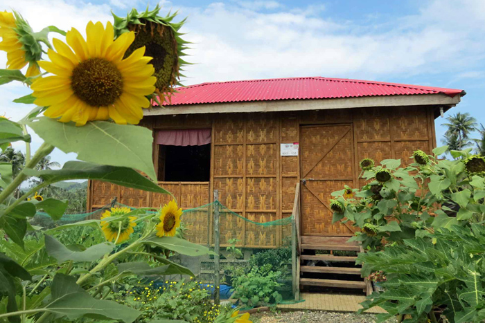Neues Wohnhaus auf den Philippinen nach dem Taifun Haiyan
