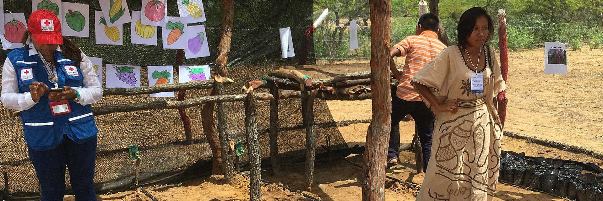 In Guajira wird der bevölkerung gezeigt, wie sie etwas anbauen können, trotz Klimawandel und Dürre