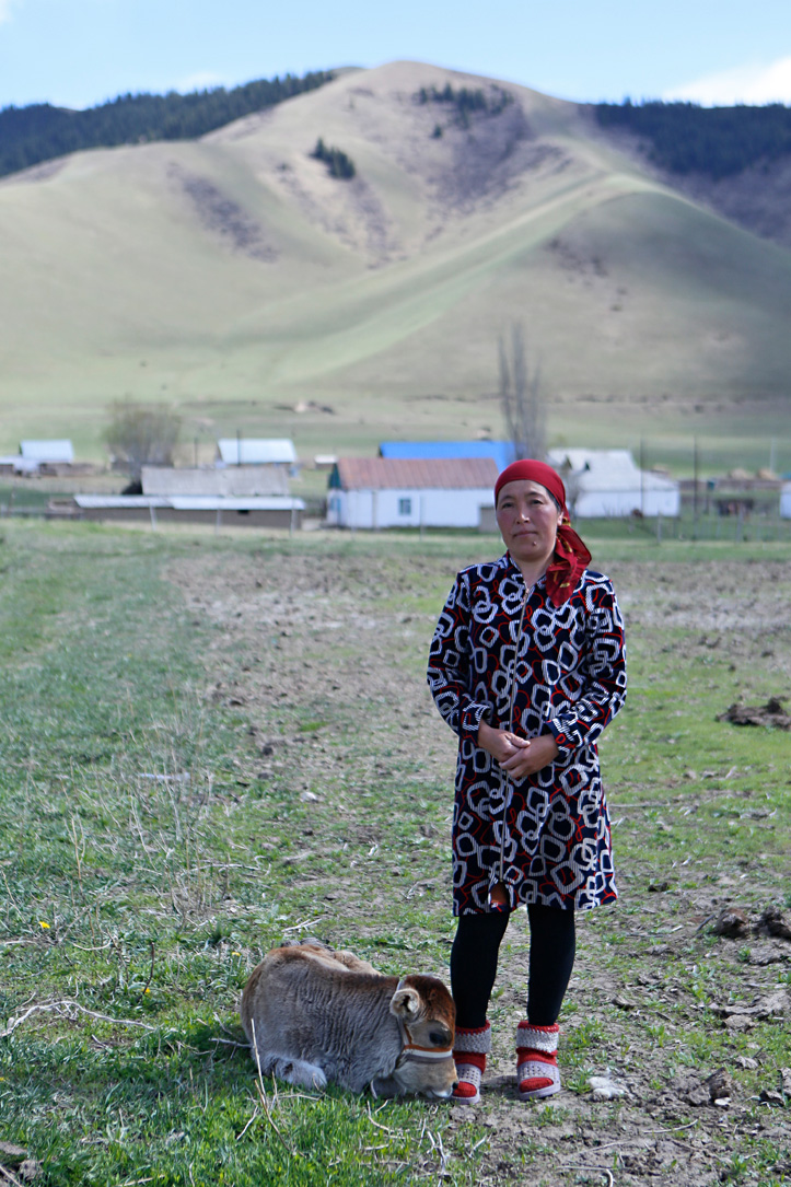 Kirgisin mit Kalb auf weitläufiger Wiese