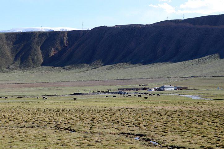 karge Landschaft vor Bergkette