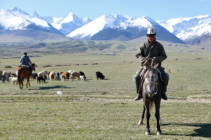 Reiter und Schafherde auf kirgisischer weide