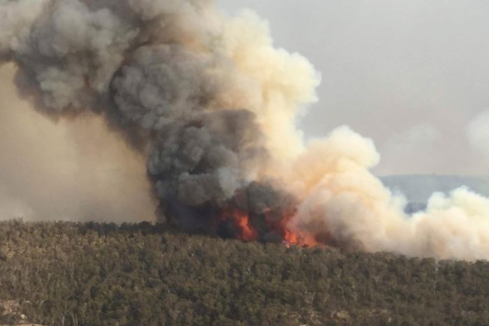Buschbrände in Australien weiten sich aus